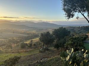 Podere Cavone Villa la Vigna Tra le dolci colline della Maremma