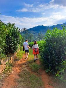 Mad & Nomad Backpackers Hostel