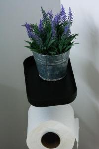 Cabina Alto San Juan l Mountain Luxury Getaway