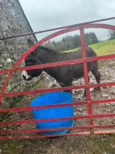 Entire Farmhouse in Tipperary