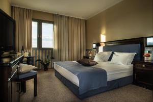 Double Room room in Hotel Sani