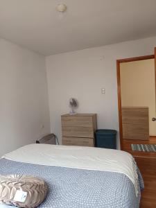 Departamento full equipado en Coyhaique