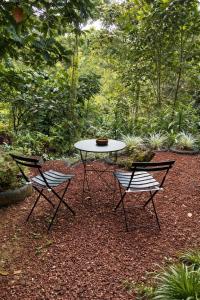 Jungle Cabin w Pool & Nature Trails