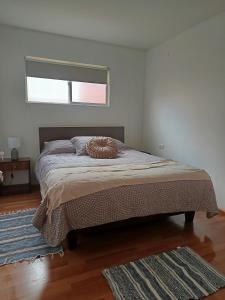 Departamento full equipado en Coyhaique