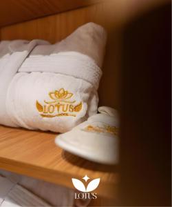 Lotus Home - Tahrir Square