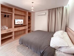 Pyramid IX Near the Grand Egyptian Museum