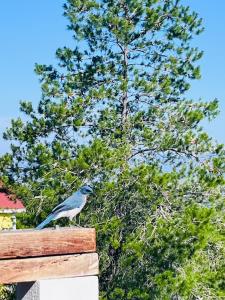 Casa De Campo Mirador H&L