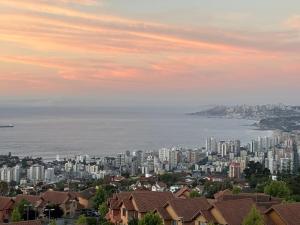 Soleado con hermosa vista a Viña del Mar