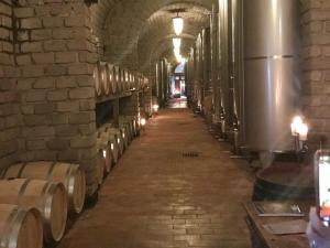 Vinarte, an Italian villa and wine estate