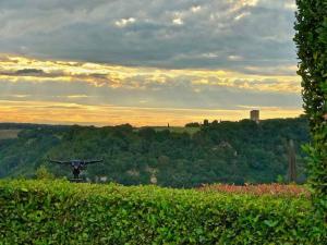 Vinarte, an Italian villa and wine estate