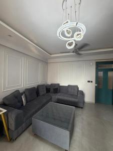 The urban Jungle Oasis