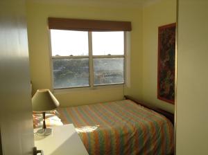 VIEWS of City and Anzac Bridge and Blue Mtns 1BR in 2BR Annandale Apt