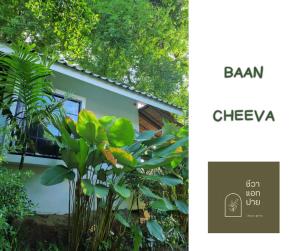 Cheeva at pai ชีวา แอท ปาย