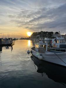 2-room apartment with garden in Sanary-sur-Mer, Beaucours