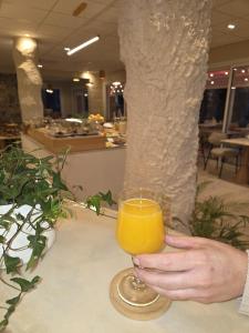 Hotel ASTORIA- Saint Etienne-Centre des Congrès-