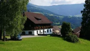 Ferienhaus Birkenhof - Winklern