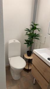 Kirkenes down town apartments