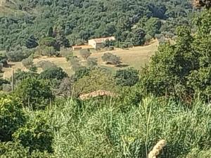 Luce di Toscana Cottage in pietra in uso esclusivo