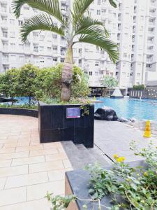 Apartment Royal Mediterania Garden, Lokasi Central Park Mall