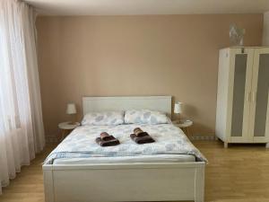 Sausage dogs apartments