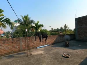 Vista Homestay