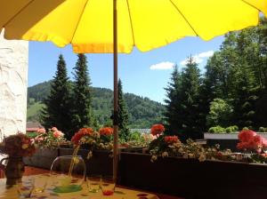 Noppel Jürgen - Ferienwohnung