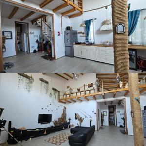 Casa de Vacanta Nufarul Crisan