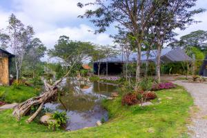 The Xanh AN Homestay3