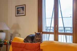 ACQUARIO DEI FRALLE img17