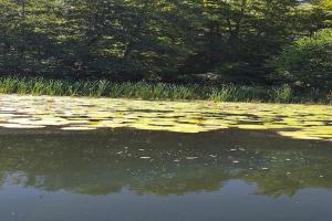 Cottage in a quiet location by the lake Mausz, Parchowo in Kashubia