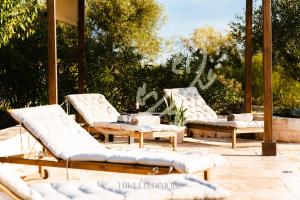 TD Truly Trulli Gentle Breezes Across Olive Valley