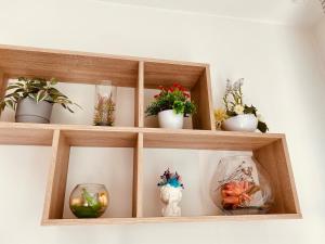 Quiet and bright Studio in Paris