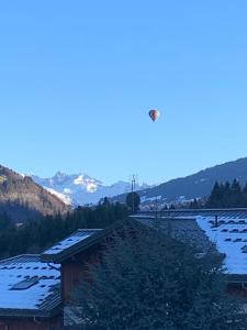 Chalet des Evettes