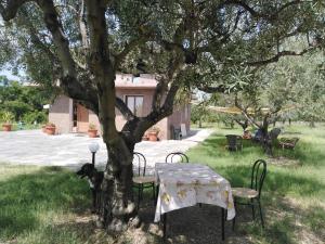 Casa Fortuna Artist Family Retreat in Taormina