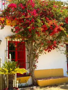 Hacienda Don Rodrigo