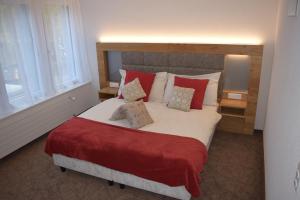 Deluxe Double Room room in Hotel Acacia