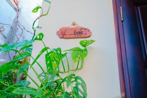 Oriana Phan Thiết Homestay