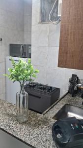 Flamengo Beach Beira Mar