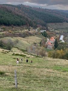 Maisonnette ardéchoise au centre du village