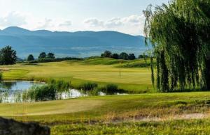 Sand & Chill - Appartement 55R