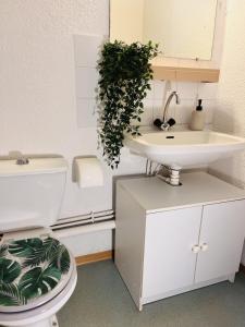 Numéro 119- Studio Sacré Cœur Proche Basilique