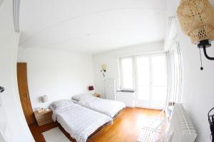 Sonnige Unterkunft mit 2 Balkonen