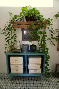 Room in Finca Molino in Almayate with Pool, Sea Views, Family Touch & Dog Madness