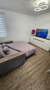 FLH - Studio Alma