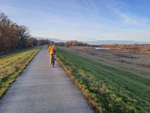 Ferienhaus Kamerun an der Elbe