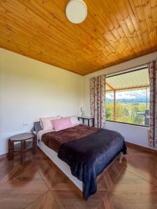 Finca Siberia, Sisga