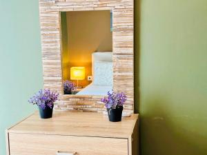 Acropolis Modern Apartments free parking,free pet hosting,Netflix