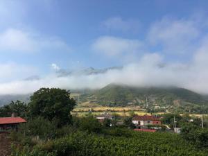 Guesthouse Lumo & pool