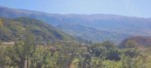 Guesthouse Lumo & pool