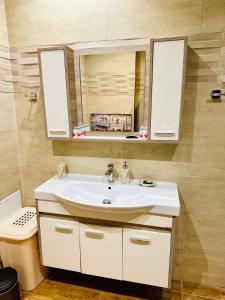 Acropolis Modern Apartments free parking,free pet hosting,Netflix